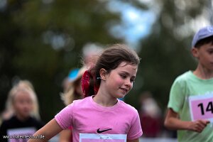 Hafenfestlauf_26_240