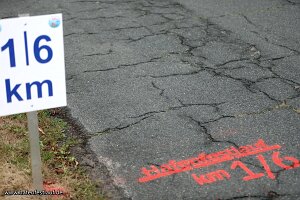 Hafenfestlauf_26_5033