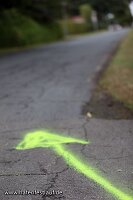 Hafenfestlauf_26_5037