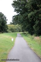 Hafenfestlauf_26_5040