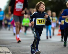 Hafenfestlauf 2026